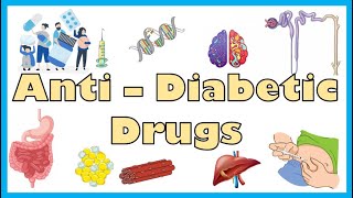 AntiDiabetic Medications  Types Mechanism Of Action Indications Side Effects Contraindications [upl. by Kind]