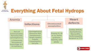 Everything About Fetal Hydrops [upl. by Frolick]