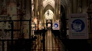 Stephansdom ViennaStunning Views of Vienna’s Iconic Cathedral travel vienna stephansdom [upl. by Anemolihp153]