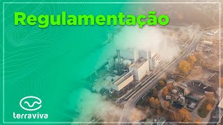 Regulamentação de créditos de carbono [upl. by Ahsekyw728]