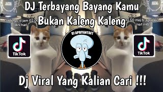 DJ TERBAYANG BAYANG KAMU TREND KUCING JOGET  DJ BUKAN KALENG KALENG BY ARYA FVNKY VIRAL TIKTOK 2024 [upl. by Cooperman]