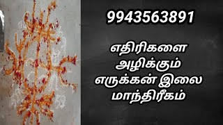 எதிரிகளை அழிக்கும் எருக்கன் இலை மாந்திரீகம் [upl. by Merry]