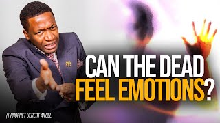 😨 Can The DEAD Feel EMOTIONS 🪦💔  Prophet Uebert Angel [upl. by Yslek557]