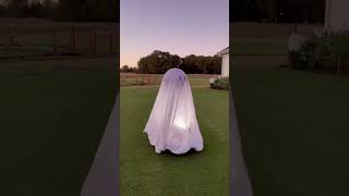 Robot Lawnmower 👉🏼 Ghost 👻 [upl. by Rettke]