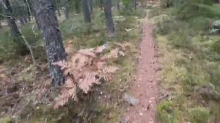 Lilla älgloppetrampet MTB Hultsfred [upl. by Aime]