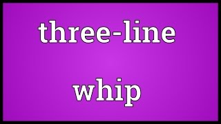 Threeline whip Meaning [upl. by Kcired]