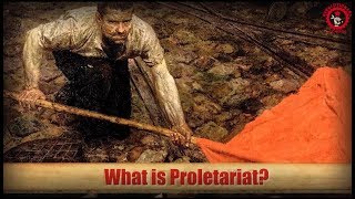 What is Proletariat Brief Introduction to MarxismLeninism [upl. by Akissej]