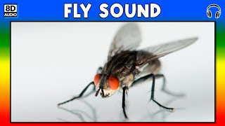 🦟 FLY SOUND  FLY SOUND EFFECT  SOUND OF FLY  NOISE OF FLY [upl. by Aihsekin]