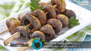 Mantarlar besin değeri bakımından zengin midir [upl. by Rubma420]