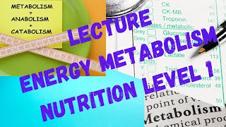 Energy Metabolism Glycolysis Ketogenesis Starvation [upl. by Trik]