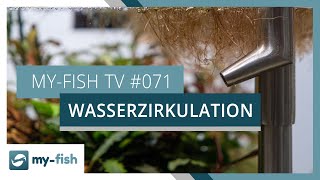 Wasserzirkulation und Strömung im Aquarium optimieren  myfish TV 071 [upl. by Hershell]