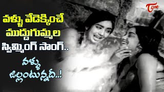 Old Beauties Superb Swmming Song  Vallu jhillantunnadi Song  Bomma Borusa Movie  Old Telugu Songs [upl. by Siaht506]