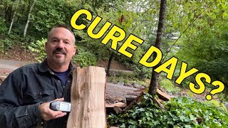 Firewood cure test to see how long it takes outside and in wood shed [upl. by Trueman393]