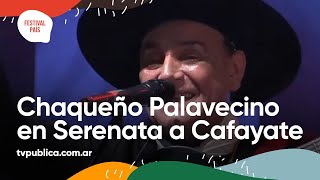 El Chaqueño Palavecino en Serenata a Cafayate  Festival País 2022 [upl. by Ahsaeit]