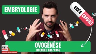 💊CAPSULE DE COURS  Quoi maîtriser sur LOVOGENESE en embryologie en Licences LASPASS [upl. by Aynodal589]