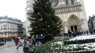 ARBRE DE NOEL  CHRISTMAS TREE 3 Paris NotreDame 2010 [upl. by Olli]