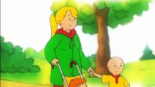 Caillou  DvD3 Español  Dibujos Infantiles [upl. by Eniledgam741]