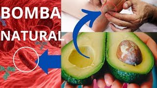 ¡¡ INCREIBLE  5 beneficios del AGUACATE para tú SALUD [upl. by Iseabal]