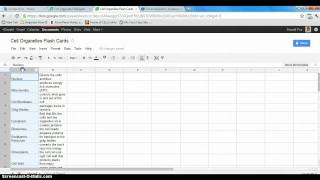 How To Make Google Flashcards [upl. by Iak829]