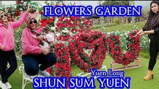 FLOWERS GARDEN  SHUN SUM YUEN YUEN LONG PART3🌹 [upl. by Hayn514]