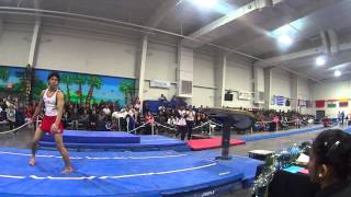 Wataru Tanigawa 谷川 航 JPN V  2013 Valeri Liukin Invitational [upl. by Omolhs]