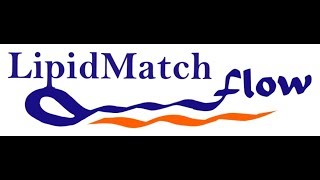 LipidMatch Flow V 10 Tutorial 4 Interpreting Results [upl. by Crean]