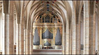 Johann Sebastian Bach – „Toccata dMoll“⎜Albrecht Koch an der SilbermannOrgel im Freiberger Dom [upl. by Sloan]