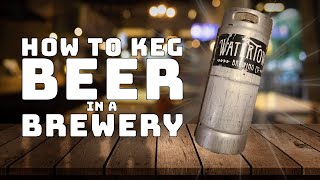 How to Keg Beer in a Brewery [upl. by Holt83]