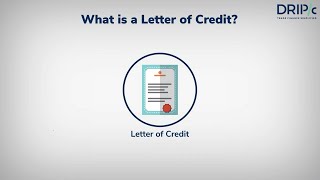 Letter of Credit  Meaning amp Process explained in International Trade [upl. by Wassyngton667]