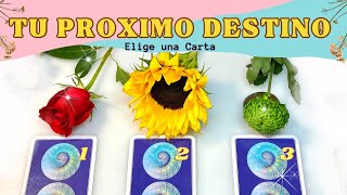 ¿Hacía Donde Va Tu Vida  Elige una Carta ✨ Tarot Interactivo [upl. by Gawlas]