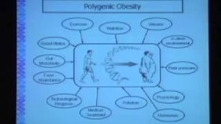 Nutrigenomics for obesity prevention and treatment [upl. by Ahsitil]