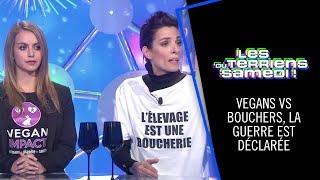 Vegans VS Bouchers la guerre est déclarée  Les Terriens du Samedi  06102018 [upl. by Ainna804]