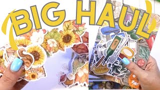 Mighty big haul 4 kits with stickers washi vellum paper ☆ plus taperlogy [upl. by Buchalter]