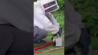 Wasp Nest Removal [upl. by Hughie]