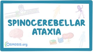 Spinocerebellar ataxia  causes symptoms diagnosis treatment pathology [upl. by Atilrak]