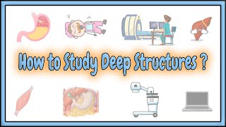 4 How to Study the Internal Structures   2D Animation [upl. by Ratha]