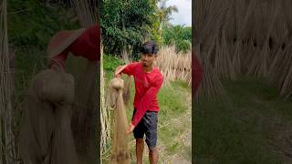 জাল দিয়ে কি মাছ ধরলাম 🐟😳115 bengali village fishing vlog [upl. by Abramo733]