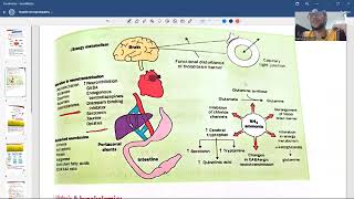 hepatic encephalopathy [upl. by Luhem]