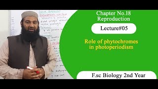 Biology Ch18Lecture05 Role of phytochromes in photoperiodism FSc 2nd Year [upl. by Nahtannhoj418]