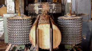 Amazing Modern Wood Sawmill Processing Technology Dangerous Big Wood Multisaw Sawmill Machines [upl. by Ehman]