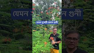 যেমন সুন্দরী তেমন গুনী [upl. by Serle]