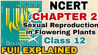 NCERT Ch2 Sexual Reproduction in Flowering plants class 12 Biology Full Explanation For BOARDSNEET [upl. by Orimar]