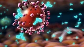 HIV and flu  the vaccine strategy  Seth Berkley [upl. by Enitsed138]