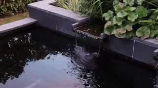 Modern Koi Pond after 8 years [upl. by Osmo]