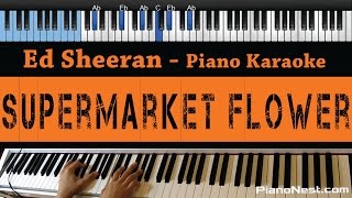 Ed Sheeran  Supermarket Flower  LOWER Key Piano Karaoke  Sing Along [upl. by Eirena]