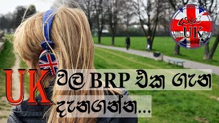 UK Biometric Residence Permit BRP amp National Insurance Number NI Number UK Travel Update [upl. by Ayal172]