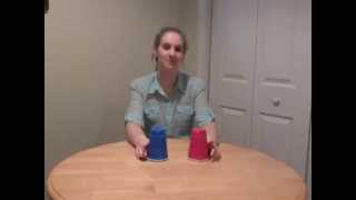 Cup Song with 2 cups tutorial [upl. by Peper40]