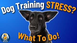 Reduce Your Dogs Stress And Anxiety In Training 167 podcast [upl. by Aicre434]