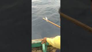 mancing di laut dapat tenggiri [upl. by Notak]