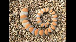 Landart Movie  Creations in Nature 2011 [upl. by Danby160]